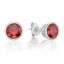 Picture of JANUARY   , 5mm BEZEL STUDS
